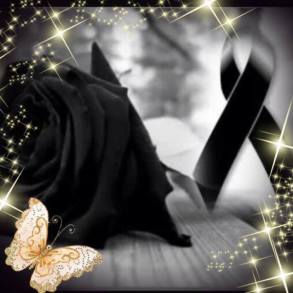 Meet your Posher, Adrian - Picture 1 of 1